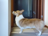 002