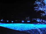 tokyo midtown illumination