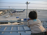 飛行機かぶりつき