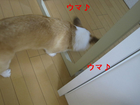 ��ڡ����ޢ�