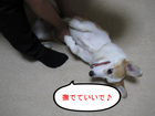 ��ǤƤ����Ǣ�