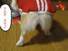 ¥ß¥ë¥¯¡¢¤¦¤Þ¢ö