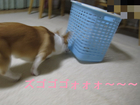 �ɤ�����������