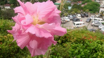 DSC03801