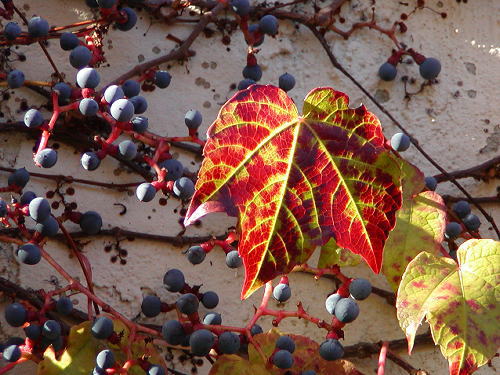 nov1_1_9