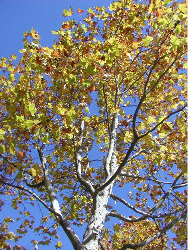 nov3_1_9