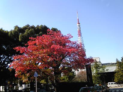 091120tawa