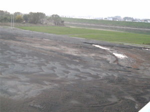 台風の傷跡-1