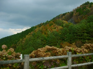 高野&龍神-4