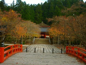 高野&龍神-1
