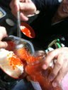 イクラパーティー