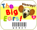 The Big Ears!������WENDY