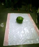 8a2c1e07.jpg