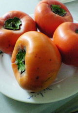 f6e976a3.jpg