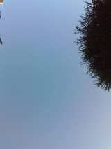 8bb0f357.jpg