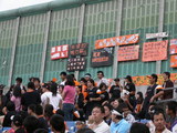 馬力歐へのメッセージがいっぱい