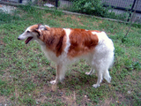 4c770386.jpg