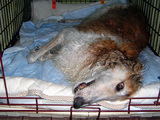 4fd62372.jpg