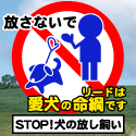 ノーリード反対。