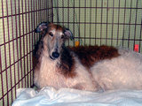 afde9325.jpg