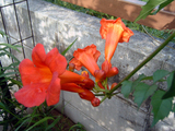 fbfa9207.jpg