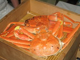 6304514d.jpg