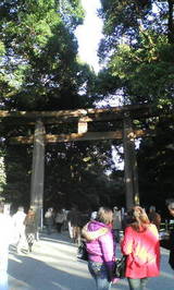 jinnguu