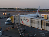 Airline