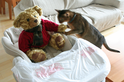 IMG_4317web
