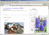 cottonsnow fuwafuwa 日記