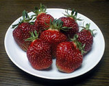 坂東いちご6月