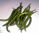 美唄の野菜トウガラシ
