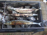BBQ NO.5-2