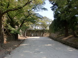 CIMG0444