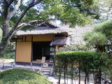 CIMG0453