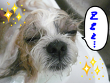 BlogPaint