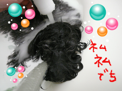 BlogPaint