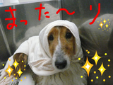 BlogPaint