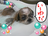 BlogPaint