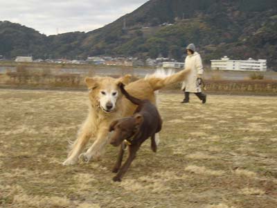051229サラ&マック1