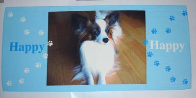 060117happy_フォトタオル