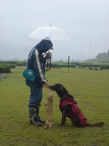070930shinya-salamegu1