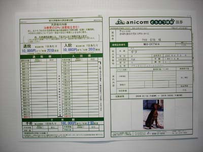 060217サラの保険証書