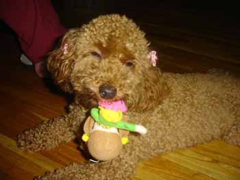 060721�������繥��