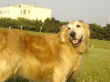070820�ޥå���ǰ�̿�2