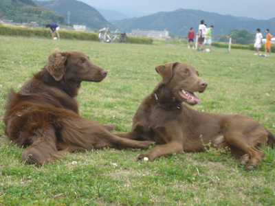 060503サラ&アク11