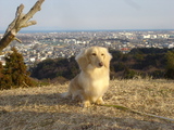 080211蓮華寺メグ-400
