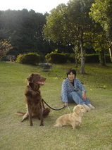 071021ばら公園-サラメグすみ3