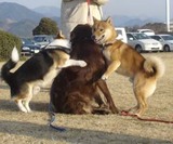 080309��Ƥ륵��27w300.jpg
