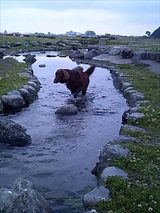 070423����ƿ��������